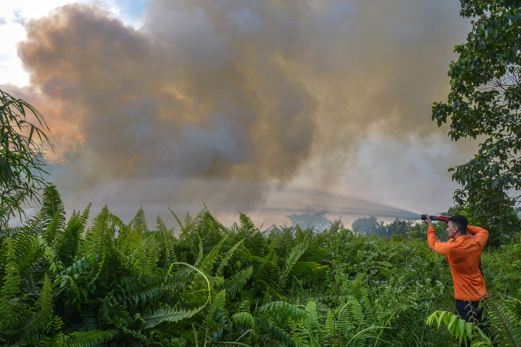 Selain di Rohil, katanya, karhutla juga ditemukan di Kabupaten Pelalawan atau di Kuala Kampar. Saat ini karhutla di Kuala Kampar masih dalam proses pemadaman oleh petugas gabungan dan heli 'water boombing' juga sudah dikerahkan ke sana.
