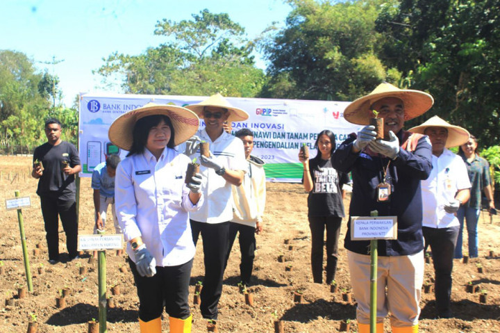 Bank Indonesia (BI) Kantor Perwakilan Nusa Tenggara Timur (NTT) melakukan penanaman cabai mengunakan Jinawi di Lahan GS Organik II, Desa Penfui Timur, Kabupaten Kupang, Rabu, 2 Agustus 2023.