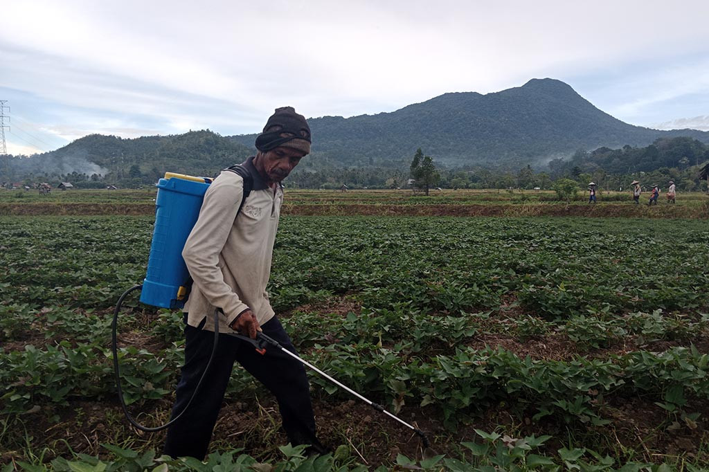 Untuk bersahabat dengan musim kekeringan tersebut, para petani harus lebih jeli memanfaatkan keadaan. Misalnya mereka harus menyesuaikan letak lahan, jenis tanaman dan cuaca yang sedang dihadapi.