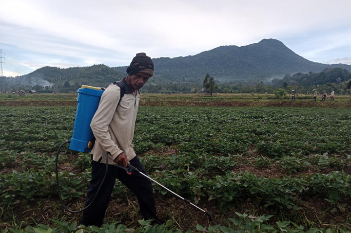 Untuk bersahabat dengan musim kekeringan tersebut, para petani harus lebih jeli memanfaatkan keadaan. Misalnya mereka harus menyesuaikan letak lahan, jenis tanaman dan cuaca yang sedang dihadapi.