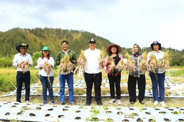 Berkat pengajuan penambahan, alokasi pupuk bersubsidi untuk Kabupaten Samosir untuk tahun ini meningkat menjadi 13.931,095 ton meliputi jenis pupuk urea sebanyak 7.552 ton sementara untuk jenis NPK sebanyak 6.378 ton bagi 1.295 kelompok tani.