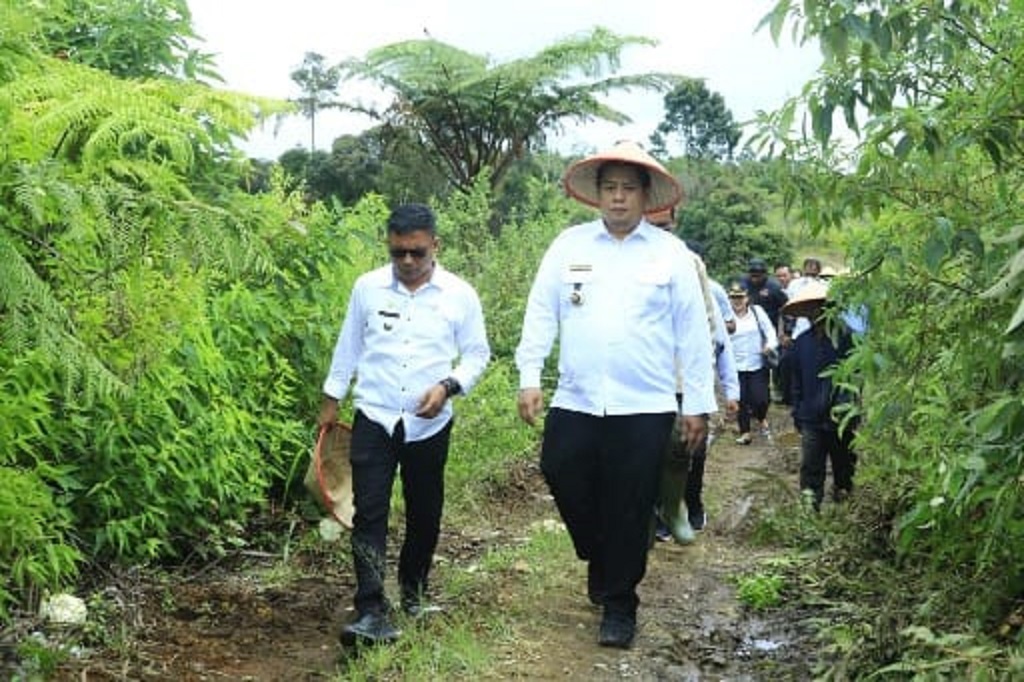 Untuk mencukupi kebutuhan pupuk bagi petani, Pemerintah Kabupaten (Pemkab) Samosir terus berupaya dengan mengajukan penambahan alokasi pupuk subsidi kepada pemerintah pusat dan pemerintah provinsi.