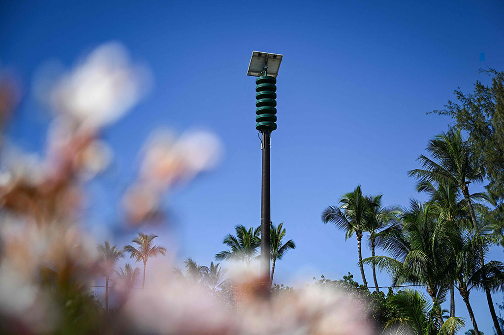 Korban tewas di Hawaii akibat kebakaran hutan paling mematikan di AS dalam lebih dari satu abad mendekati 100 hari Minggu, 13 Agustus 2023 memicu kritik bahwa kelambanan pemerintah berkontribusi pada hilangnya banyak nyawa.