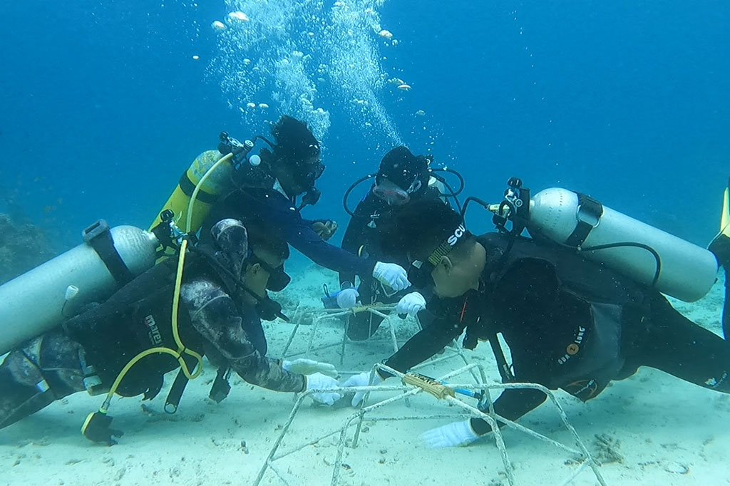 Pemilihan kawasan Pulau Rubiah, Iboih, Kota Sabang sebagai lokasi transplantasi terumbu karang, karena kawasan laut dan kondisi terumbu karang disana banyak rusak pasca tsunami Aceh 2004 silam. 