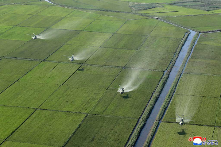 Pemimpin Korea Utara itu mengatakan tanggapan cepat militer terhadap kerusakan topan telah melakukan keajaiban memulihkan lahan pertanian yang terendam banjir dalam rentang waktu singkat.