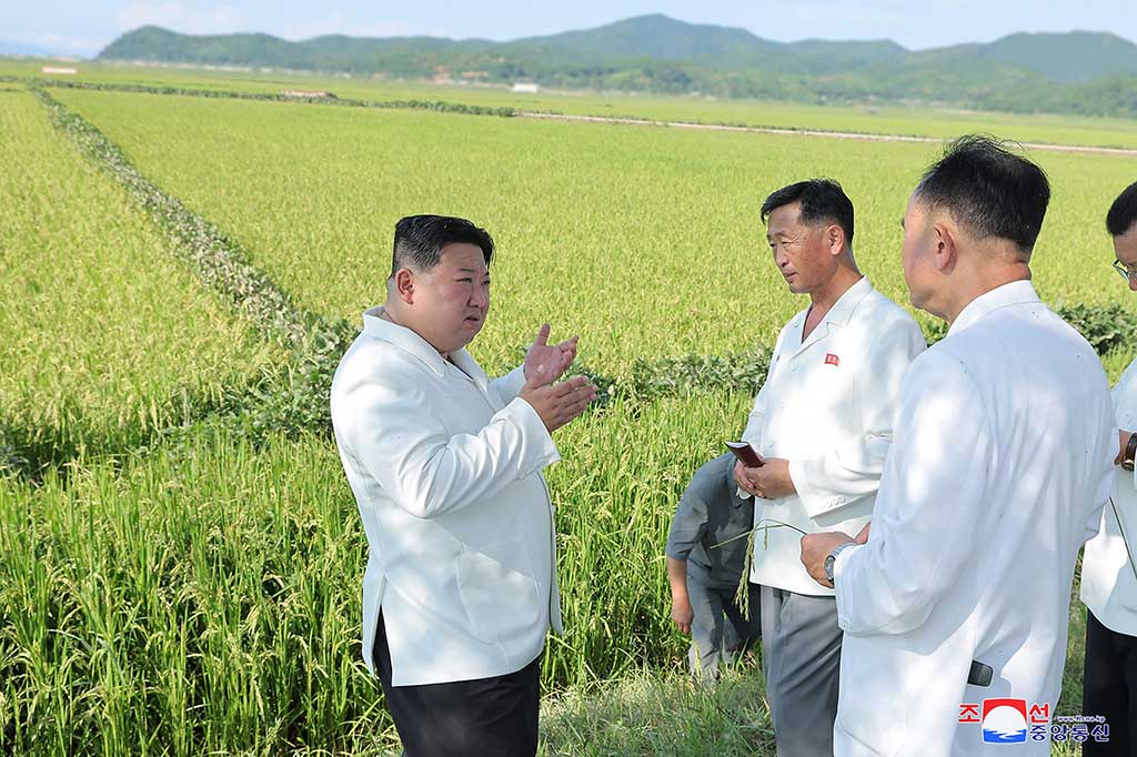 Pemimpin Korea Utara Kim Jong Un mengunjungi lahan pertanian yang dilanda topan dan mengawasi helikopter militer yang menyemprotkan pestisida dalam upaya menyelamatkan tanaman padi dari hama.