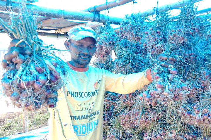 Di Kecamatan Simpang Tiga dan Kecamatan Peukan Baro, Kabupaten Pidie, Provinsi Aceh misalnya, puluhan hektare (ha) lahan bawang merah terganggu pertumbuhannya. Hal itu diduga karena pengaruh dari cuaca buruk di musim El Nino dan terjadi kekeringan musim kemarau.
