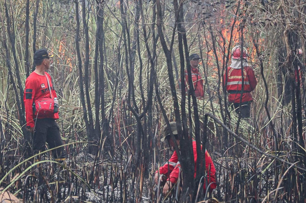 Edi Satriawan, Kepala Manggala Agni Daops XVII OKI, mengungkapkan sejak terpantaunya kebakaran di lokasi tersebut, tim langsung turun tangan memadamkan karhutla.