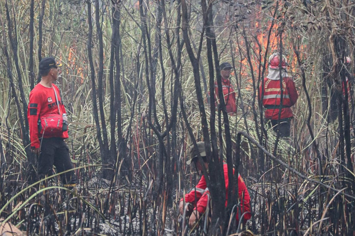 Edi Satriawan, Kepala Manggala Agni Daops XVII OKI, mengungkapkan sejak terpantaunya kebakaran di lokasi tersebut, tim langsung turun tangan memadamkan karhutla.