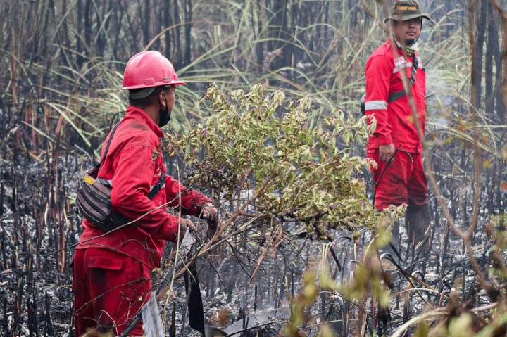 Ia menyebutkan kondisi cuaca yang kering akibat minimnya hujan dalam beberapa waktu terakhir semakin mempersulit upaya pemadaman oleh petugas di lapangan. Diakuinya hal ini menjadi kendala utama bagi tim darat yang bekerja keras dalam menghadapi ancaman kebakaran hutan dan lahan sewaktu-waktu.