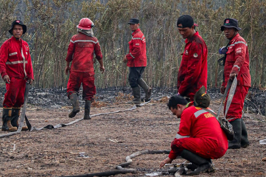 Kebakaran hutan dan lahan nyatanya tak hanya terjadi di sekitar kawasan Tol Palembang-Indralaya saja. Belum lama ini karhutla juga terjadi di dekat area Tol Kayuagung-Palembang, tepatnya di KM 348.