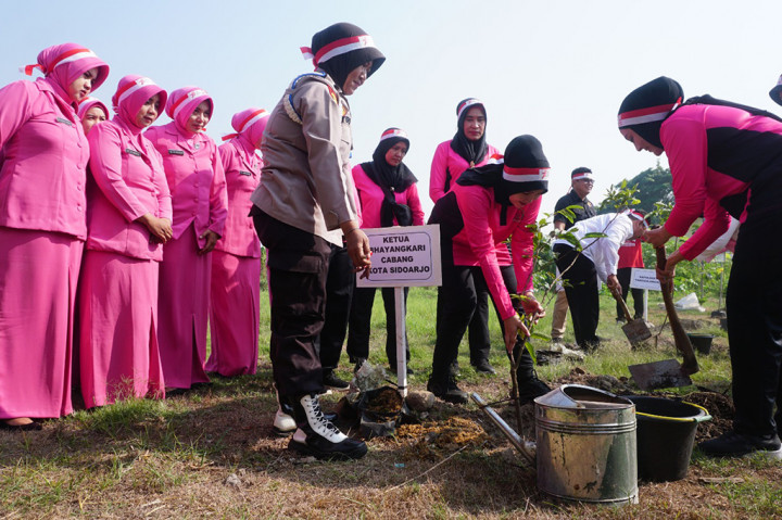 Jenis bibit pohon yang ditanam itu memiliki sejumlah manfaat dan kelebihan. Yaitu mempunyai kadar oksigen tinggi, memiliki batang kuat dan menghasilkan buah yang bisa dimanfaatkan hasilnya.