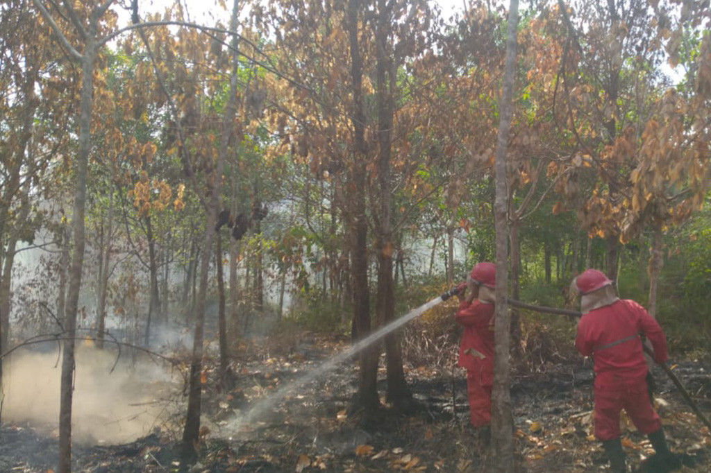 Kebakaran hutan dan lahan di Sumatra Selatan makin meluas. Bahkan kebakaran lahan di Ogan Komering Ilir terus terjadi setiap hari. Kemarin, Selasa, 22 Agustus 2033, kebakaran lahan terjadi di Desa Deling, Kecamatan Pangkalan Lampam seluas 2 hektare.
