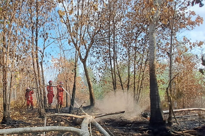 Dalam upaya pemadaman karhutla ini, pihaknya menurunkan mobil operasional pengangkut, mesin Marx-3 dan alat pemadaman lainnya.