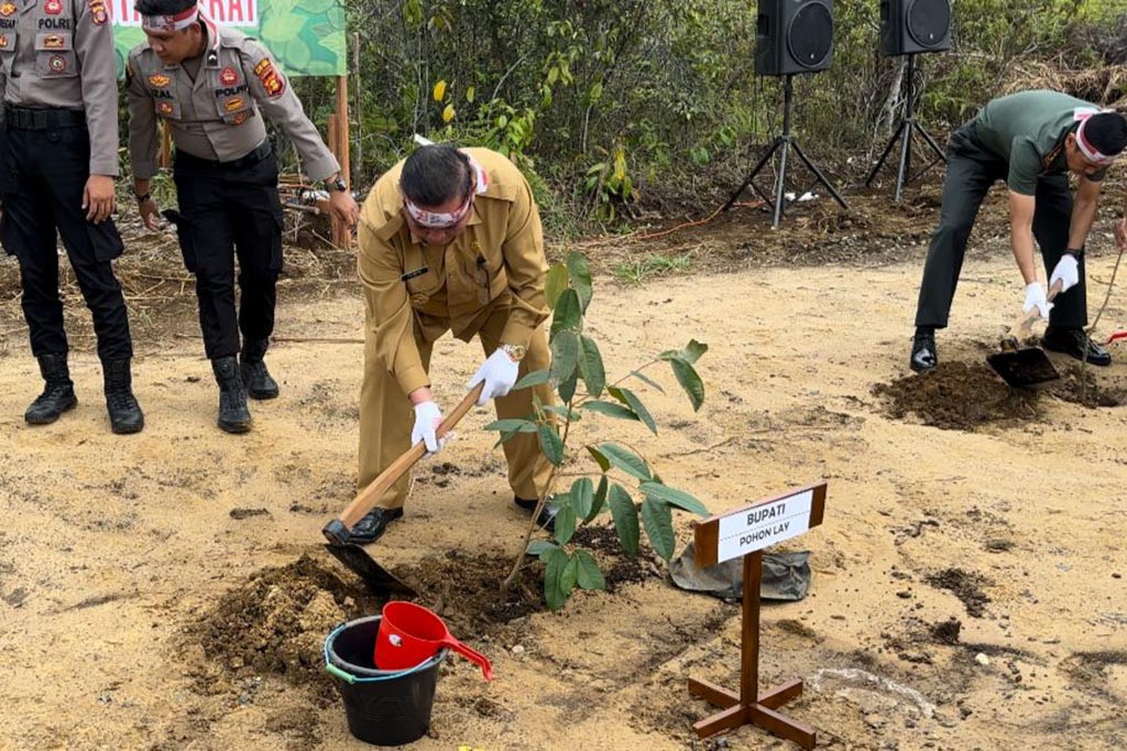 Kepolisian Resor Kota (Polresta) Kutai Barat (Kubar) bersama Pemerintah Kabupaten (Pemkab) Kubar berencana membangun 16 hutan adat di tiap kecamatan Kubar, Provinsi Kalimantan Timur (Kaltim). Pembangunan itu disinyalir untuk memerangi perubahan iklim akibat deforestasi di Kubar.