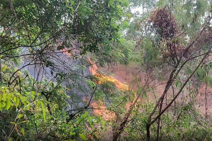  Kebakaran hutan dan lahan Gunung Ciremai, Kuningan, Jawa Barat, terus meluas hingga melahap dua gazebo, Selasa, 29 Agustus 2023. 