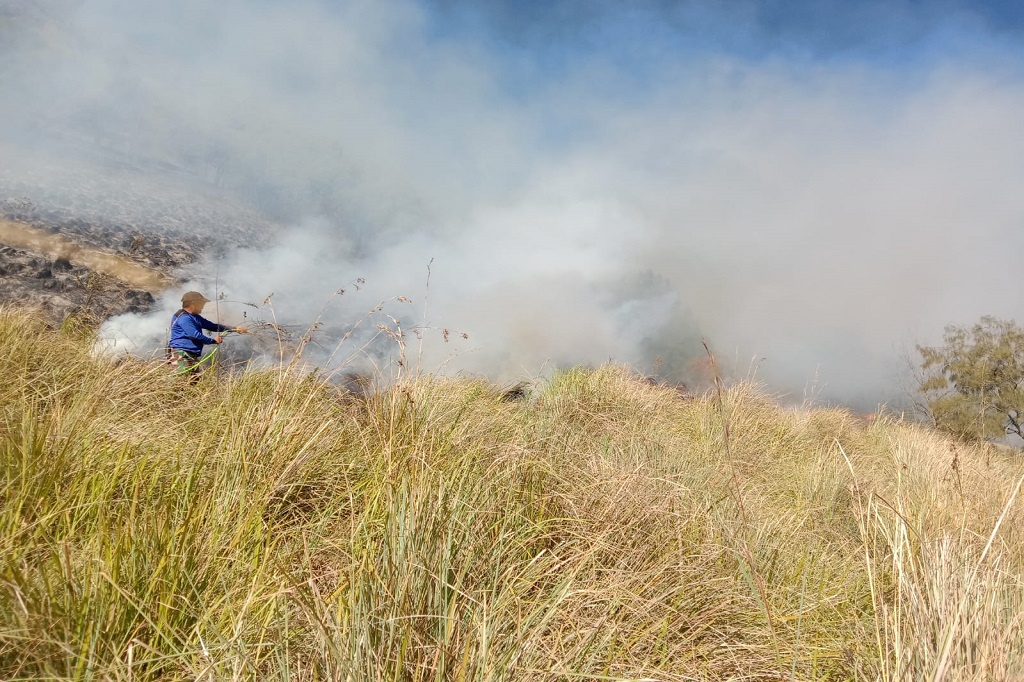Lalu, petugas gabungan dibantu masyarakat peduli api mengisolir sumber api. Petugas gabungan itu dari resor PTN Wilayah Coban Trisula, resor PTN Wilayah Tengger Laut Pasir, resor PTN Wilayah Gunung Penanjakan dan resor PTN Wilayah Ranupani Balai Besar TNBTS.