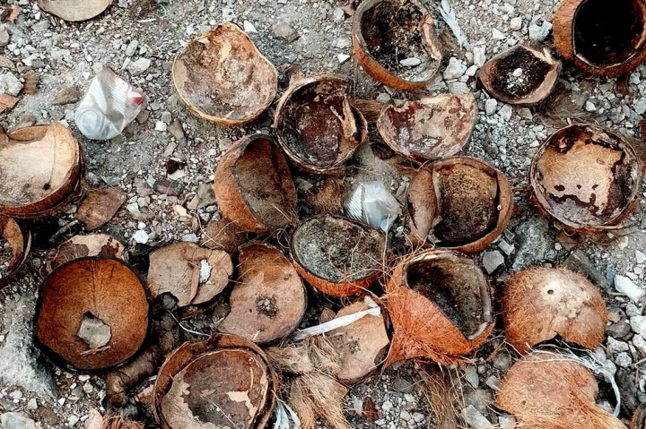 Salah satu karyawan perajin arang batok Dian Ardian mengaku pemilik kerajinan arang batok terpaksa meliburkan 12 orang karyawannya karena dampak dari penutupan sementara usahanya tersebut.