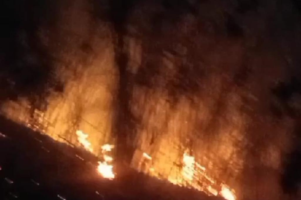 Sedikitnya 12 hektare kswasan hutan Gunung Lawu, tepatnya di Petak 42 Resort Pemangkuan Hutan (RPH) Tlogo Dringo, Tawangmangu hangus dilalap jago merah sejak Rabu, 30 Agustus 2023, dan baru berhasil dipadamkan total pada Kamis, 31 Agustus 2023 siang, pukul 11.00 WIB.