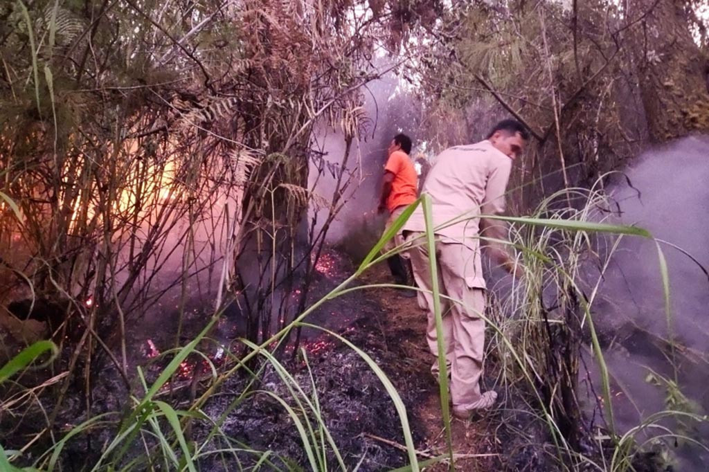 Api pertama kali muncul pada Rabu siang, sekitar pukul 14.00 WIB. Api diperkirakan berasal dari lahan pinggir hutan di sekitar Desa Gondosuli. BKPH Lawu Utara yang menjadi bagian dari Kesatuan Pemangkutan Hutan (KPH) Surakarta telah memberikan laporan rinci kepada Polres, untuk ditindaklanjuti.