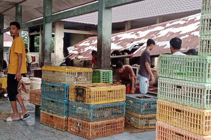 Lamban-nya perputaran perekonomian di kawasan Provinsi Aceh bukan saja terasa oleh pedangang pakaian, penjual barang elektronik, furnitur dan berbagai barang kebutuhan keluarga. Kondisi sepi pembeli teryata juga sangat dirasakan pedagang ayam potong.