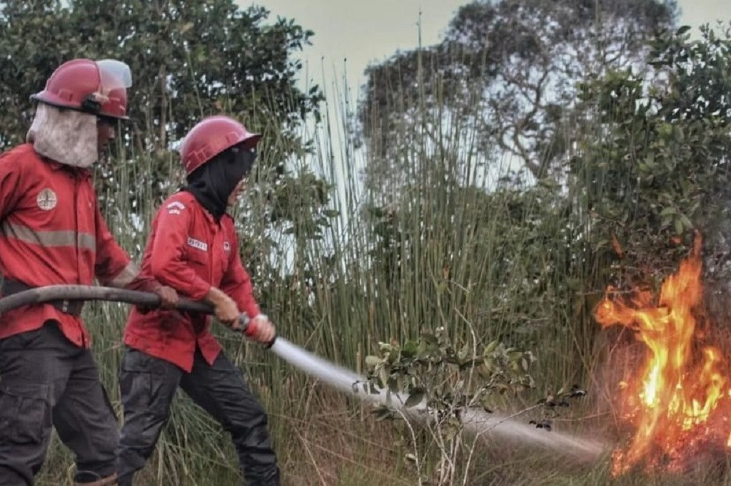 Kejadian kebakaran lahan kini semakin meluas dan melebar, bahkan telah beberapa kali membakar lahan yang berada di tepi jalan tol Kayuagung, tol Palembang Indralaya dan jalan lintas Palembang-Indralaya.