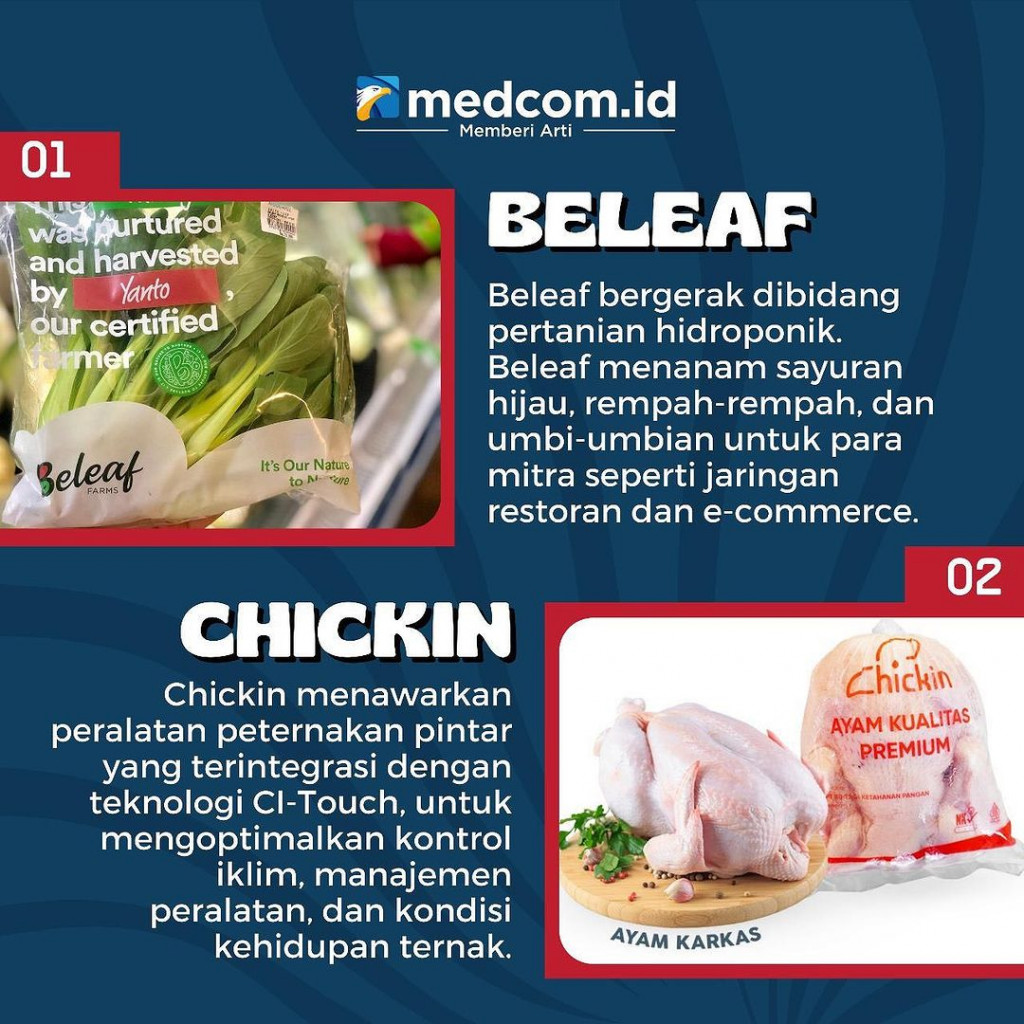 11 Startup RI Naik Daun di Asia Pasifik, Apa Saja?