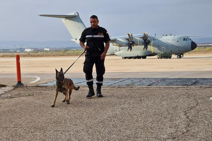 Sebuah pesawat militer lepas landas pada Minggu pagi dari sebuah pangkalan di kota Zaragoza di timur laut dengan 56 penyelamat dan empat anjing pencari menuju Marrakesh, kata pernyataan kementerian pertahanan.