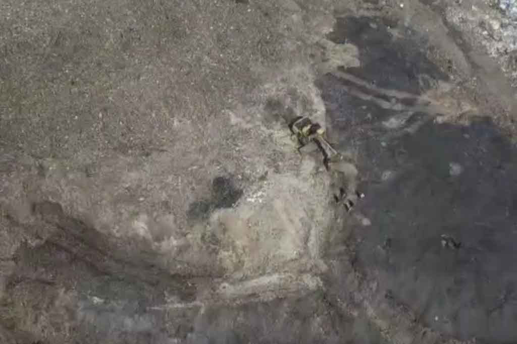 Meski sudah berhasil dipadamkan titik titik api yang membakar gunungan sampah di Tempat Pembuangan Akhir Kopi Luhur, Kota Cirebon Jawa Barat pada Senin, 11 September 2023 Siang. Petugas Gabungan dari berbagai Instansi masih disiagakan di TPA Kopi Luhur, untuk mengantisipasi Terjadinya titik api baru dan kebakaran susulan.