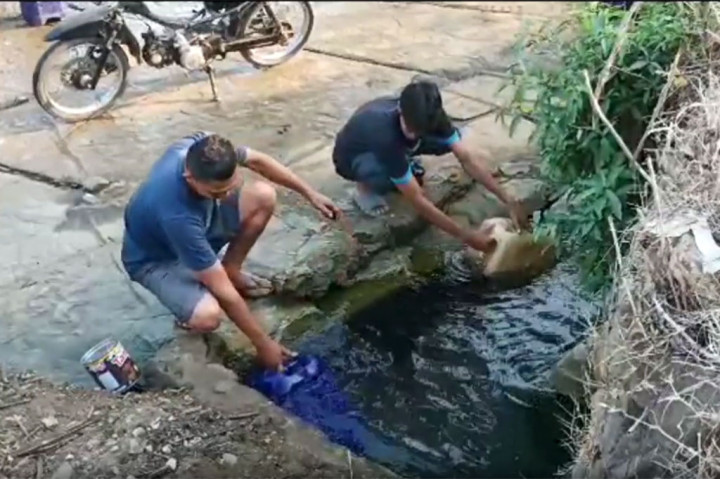 Ratusan warga di lima kampung di Desa Cikangkung, Kecamatan Ciracap, Sukabumi, Jawa Barat harus menempuh jarak satu kilo lebih untuk mendapatkan sumber air bersih. Kemarau panjang yang masih melanda wilayah Sukabumi, membuat warga mengalami kesulitan air dan berharap ada solusi dari pemerintah setempat.