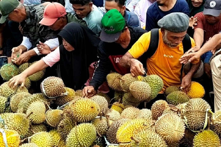 Menurut Erick panggilan akrabnya, hampir semua jenis durian tumbuh subur di tanah Sulawesi Tengah. Mulai dari Musang King yang kemudian berevolusi ke Musang Queen sebagai durian khas Sulteng, durian Petruk, durian Bawor yang tersebar di Kabupaten Parigi Moutong, Kabupaten Poso, Kabupaten Morowali Utara, Kabupaten Banggai dan Kabupaten Donggala.