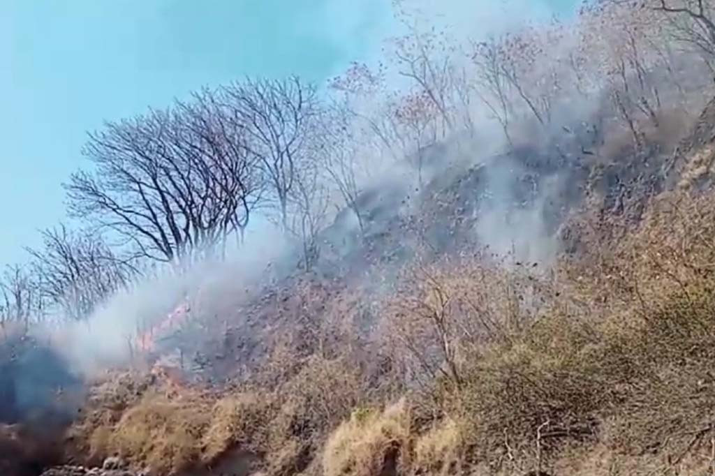 Data sementara dari pihak Kecamatan menyebutkan, terdapat 80 hektar lahan pertanian dan lumbung pangan warga di Pulau Palue, Kecamatan Palue, Kabupaten Sikka ludes terbakar.