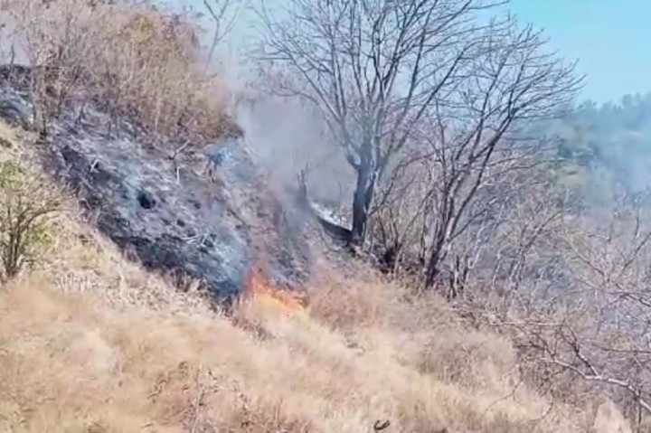 Kebakaran lahan pertanian warga di Pulau Palue, Kecamatan Palue, Kabupaten Sikka, Nusa Tenggara Timur (NTT) terus meluas. Akibatnya ratusan Kepala Keluarga mengalami dampak akibat lahan pertanian mereka ludes terbakar.