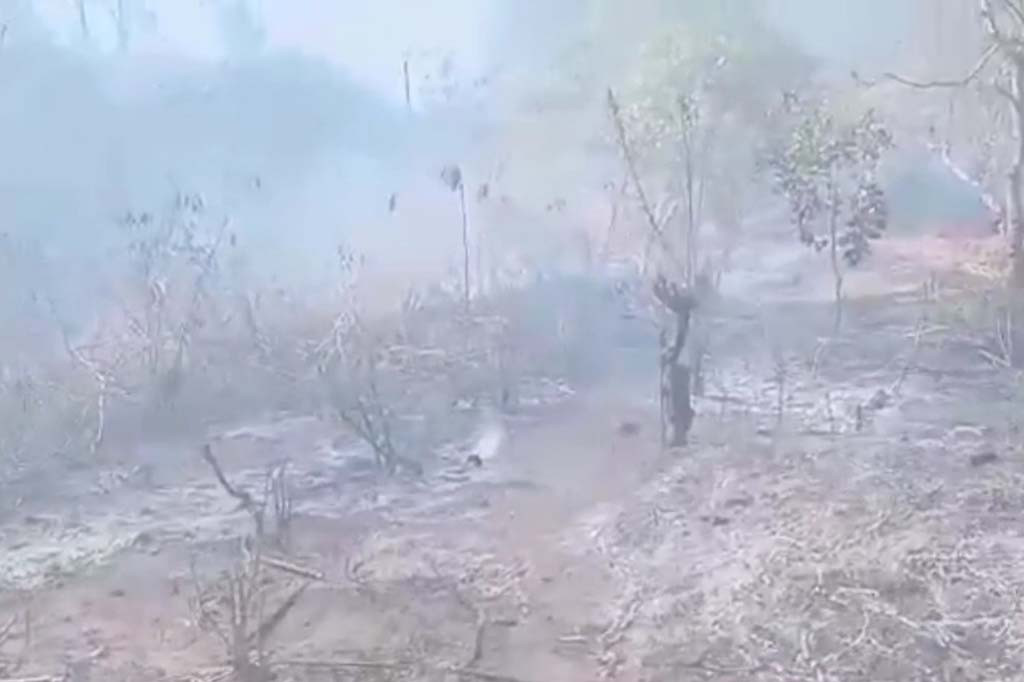 Meski demikian, Hingga saat ini kobaran api belum bisa dipadamkan namun pihak kecamatan dan desa setempat terus berupaya memadamkan api dengan alat seadanya agar kebakaran tidak meluas.