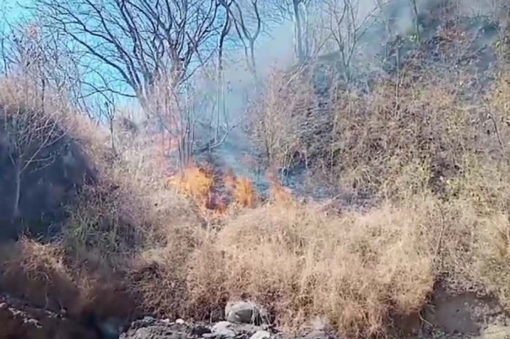 Setidaknya terdapat 589 kepala keluarga (KK) terdampak akibat lumbung pangan, tanaman pertanian dan tanaman komoditi ludes terbakar sejak Jumat, 8 September 2023.