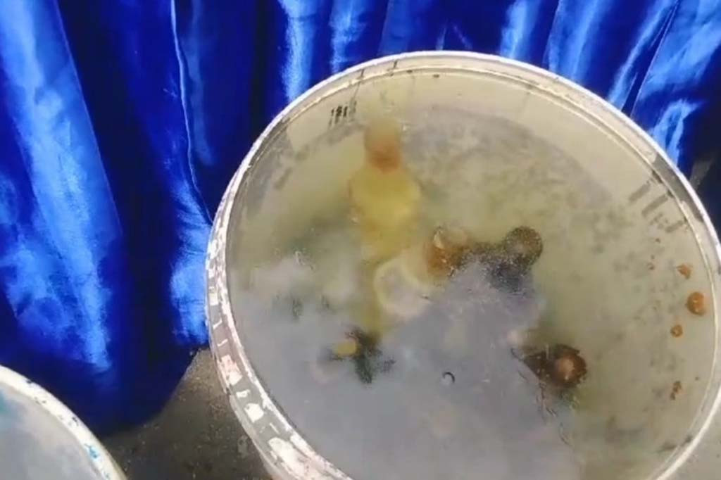 Pelaku bom ikan berhasil kabur dari pengejaran, sementara barang bukti 19 botol bom ikan rakitan dan perahu milik berhasil diamankan.