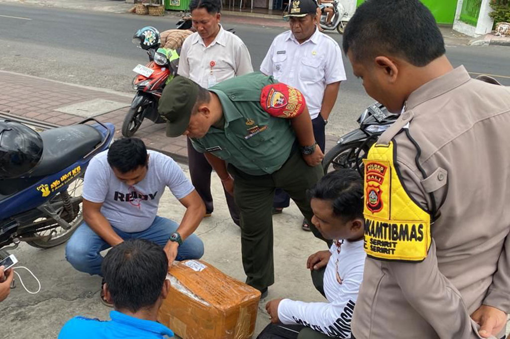 Kepala BNNP Bali Brigjen Pol. Raden Nurhadi Yuwono dalam keterangannya di Denpasar, Bali, Kamis, 14 September 2023, mengatakan narkotika jenis ganja tersebut disita dari seorang pelaku berinisial KD.  Dia ditangkap petugas BNNP Bali pada Rabu, 13 September di Buleleng, Bali setelah menerima kiriman paket tersebut.