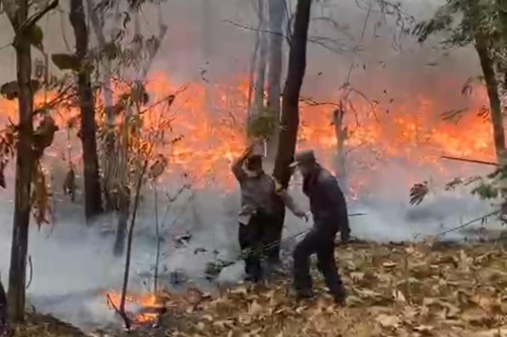 Kebakaran di gunungan sampah Tempat Pembuangan Akhir ( TPA ) Putri Cempo yang berlangsung sejak Sabtu, 16 September 2023 siang, hingga Minggu, 17 September 2023 belum berhasil dipadamkan, dan asapnya membuat ratusan warga Dukuh Kethekan, Desa Plesungan, Kecamatan Gondangrejo, Kabupaten Karsnganyar mengalami sesak nafas.