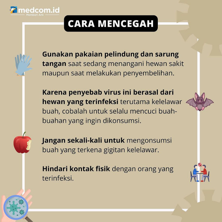 Kenali Gejala dan Cara Pencegahan Virus Nipah