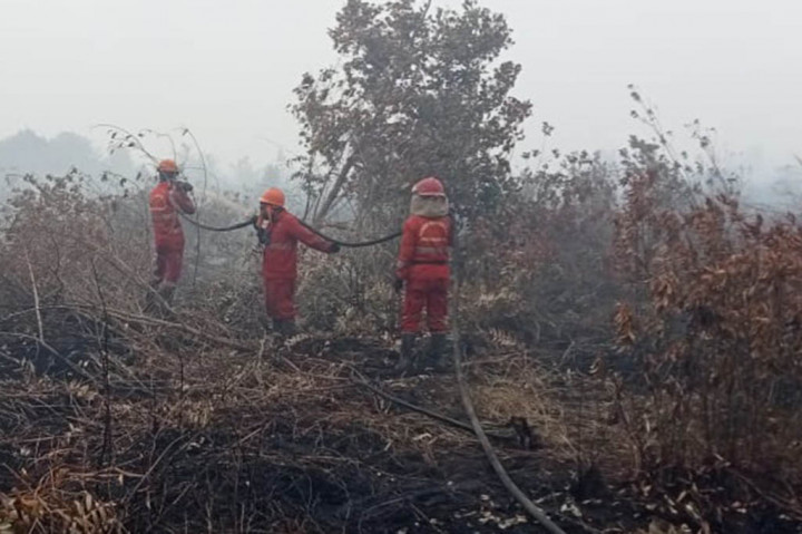 Di area ini merupakan salah satu lokasi kubah gambut yang cukup dalam, dan apabila terbakar maka akan sangat sulit dipadamkan. 