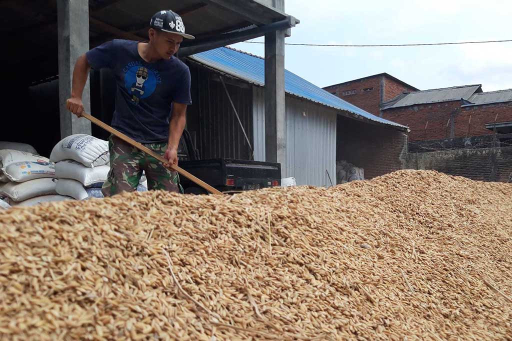 Ia menjelaskan harga beras merek kembang pada 15 hari lalu dijual Rp60 ribu per kg. Kini, harga beras naik lagi menyesuaikan harga gabah kering sawah.