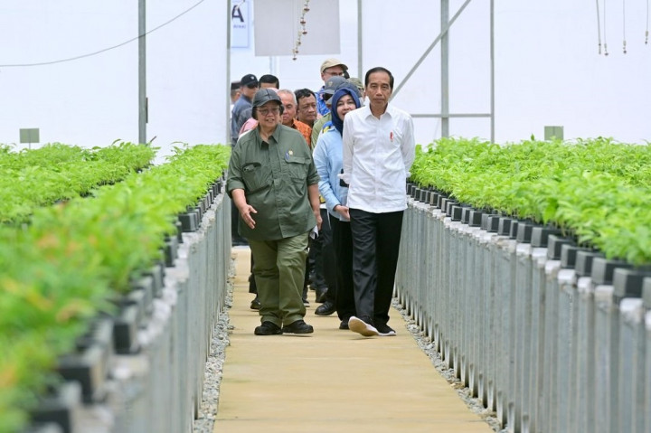 Adapun lokasi penanaman, kata Jokowi, akan diatur oleh Kementerian Lingkungan Hidup dan Kehutanan serta Otorita IKN (OIKN).