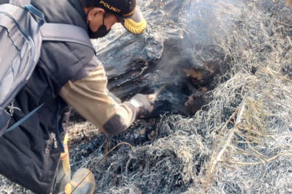 Api di kawasan wisata Bukit Mongkrang, Hutan Gunung Lawu, di Kabupaten Karanganyar, Jawa Tengah sudah padam usai sempat terbakar sejak Jumat, 22 September 2023 siang.
