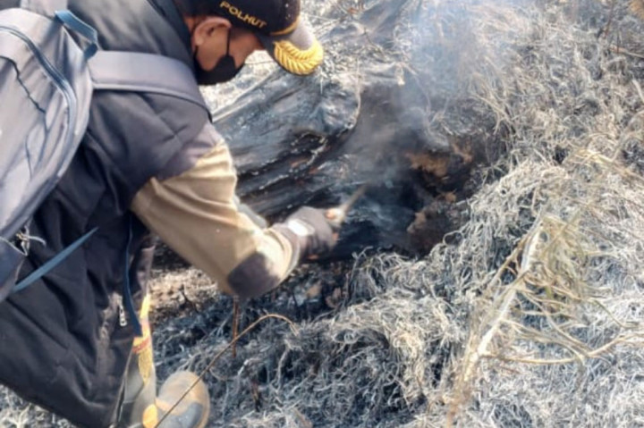Api di kawasan wisata Bukit Mongkrang, Hutan Gunung Lawu, di Kabupaten Karanganyar, Jawa Tengah sudah padam usai sempat terbakar sejak Jumat, 22 September 2023 siang.