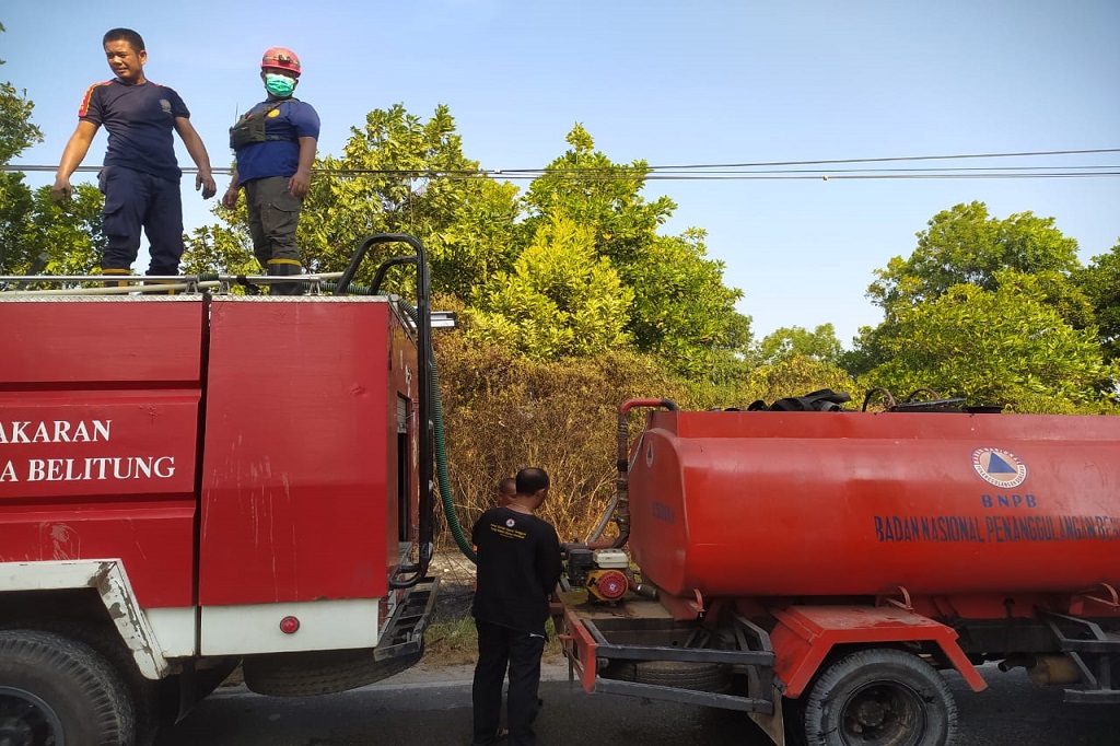 Kebakaran hutan dan lahan (karhutla) di lintas timur Bangka terus terjadi. Ribuan pohon mente berusia 3 tahun pun hangus dilalap api.
