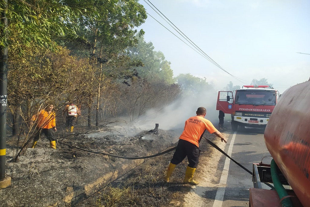 Ia menduga terbakarnya ribuan pohon mente ini disebabkan ulah orang yang tidak bertanggung jawab.
