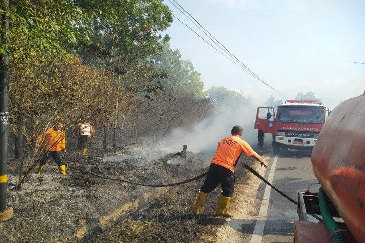 Ia menduga terbakarnya ribuan pohon mente ini disebabkan ulah orang yang tidak bertanggung jawab.