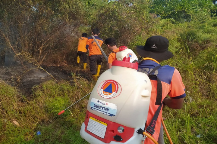 Sementara Kepala BPBD Babel Mikron Antariksa mengatakan,