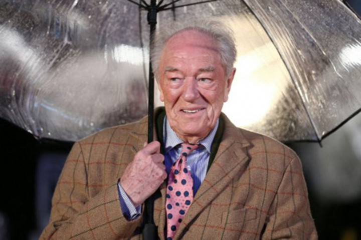 Lahir di Irlandia, ia memulai karir aktingnya di panggung, membuat penampilan pertamanya dalam produksi Othello di Teater Gates di Dublin pada tahun 1962.
