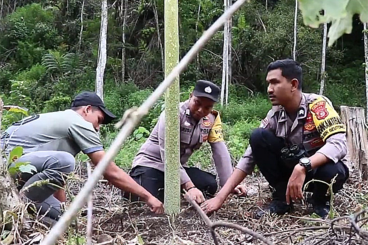Sementara itu, Kepala Pos Polisi atau Kapospol Beutong Ateuh Banggalang, Bripka Adisyafnur Arisal mengatakan, penemuan bunga bangkai tersebut menjadi pusat perhatian warga setempat. Pasalnya tamanan tersebut sangat jarang tumbuh dan mekar. Pihaknya juga telah memasang pengaman agar tanaman tersebut tetap terjaga. 
